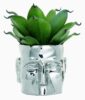 Duis bibendum