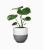 Condimentum furniture